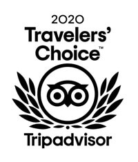 2020 travelers choice
